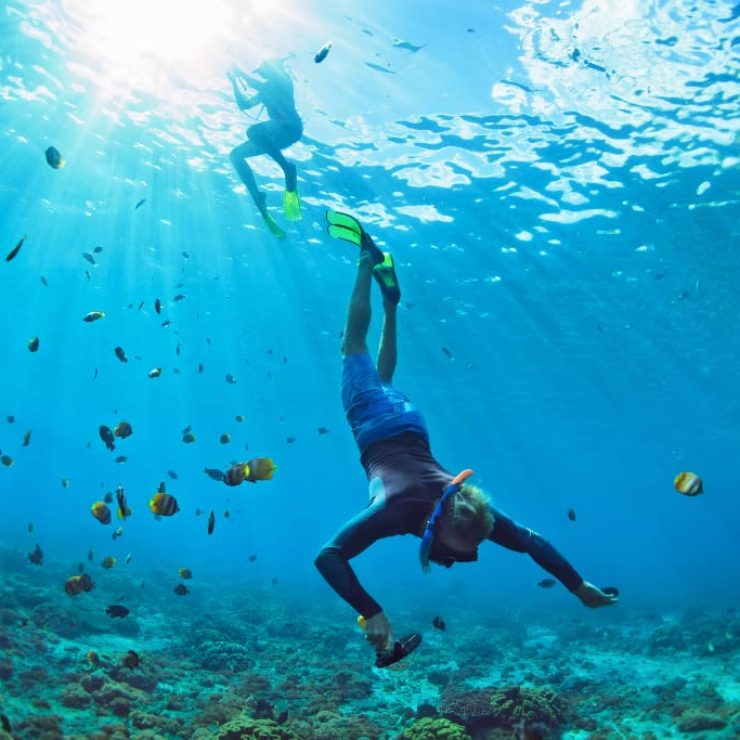 Dive Into The Mesmerising Beauty Of Coral Island Near Phuket